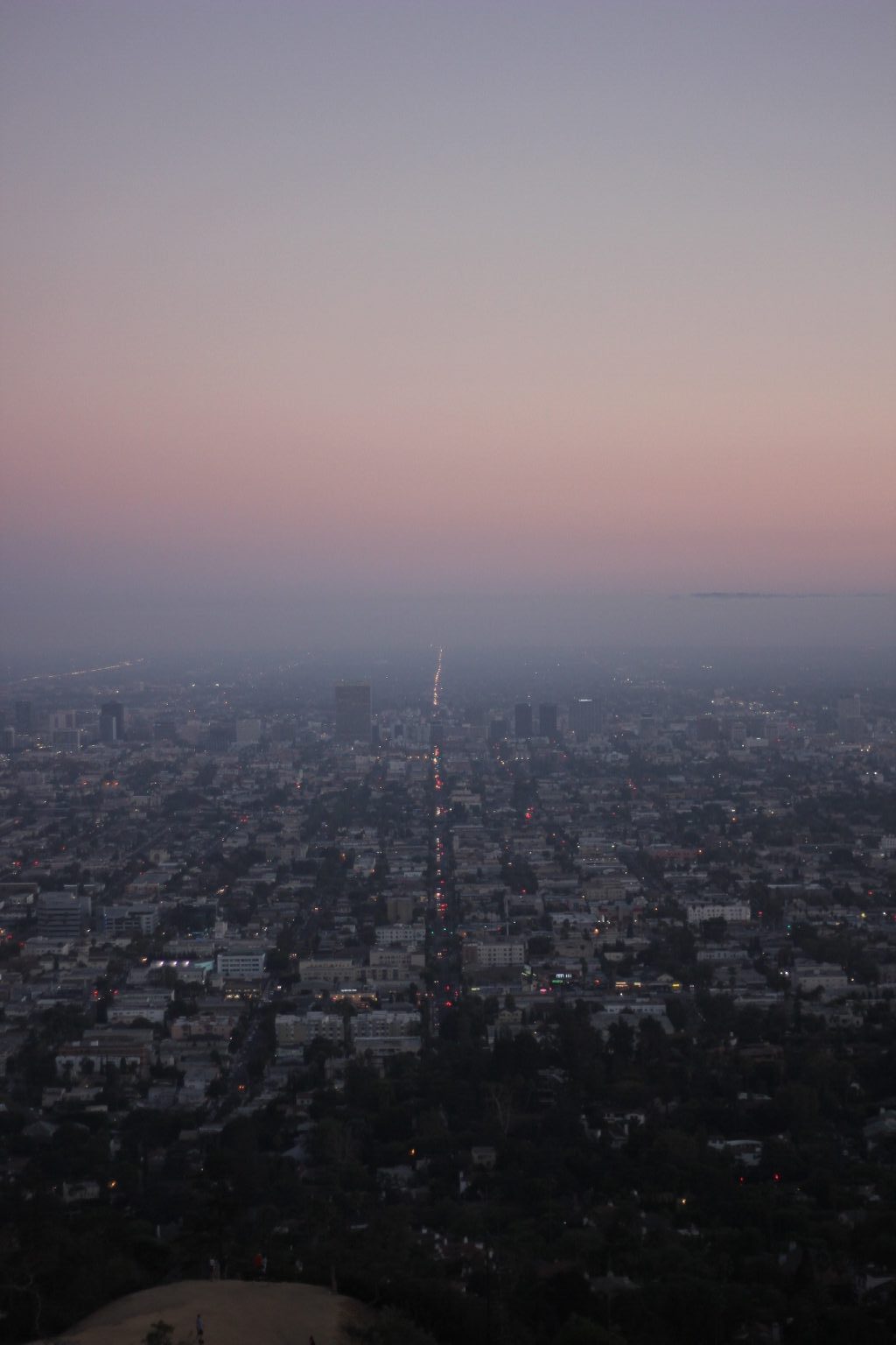 Los Angeles Skyline