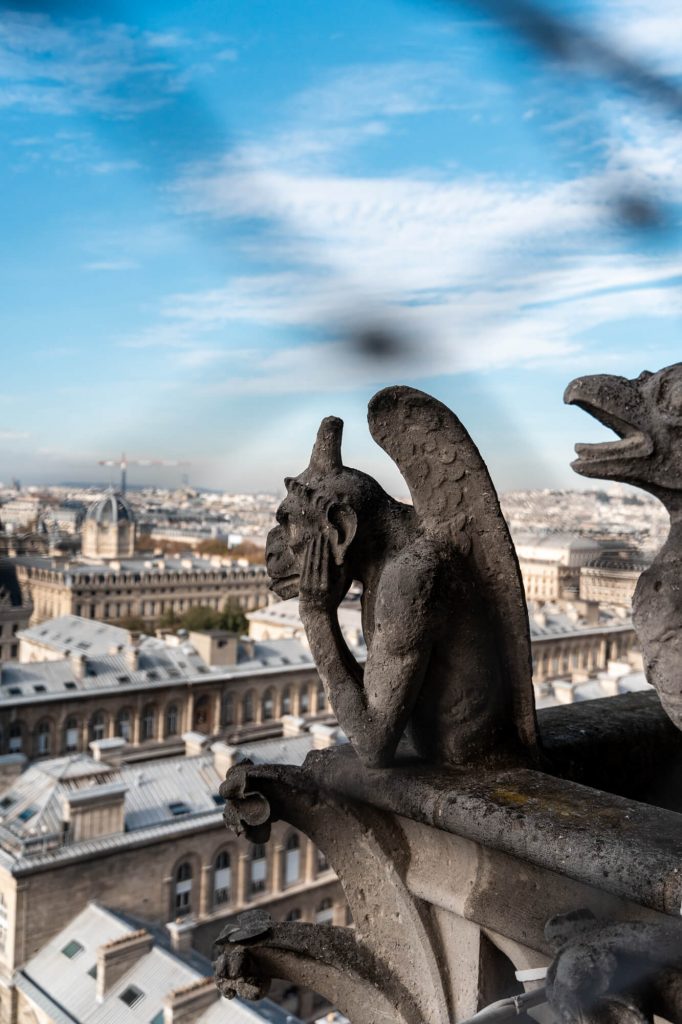 Gargoyles of Notre Dame