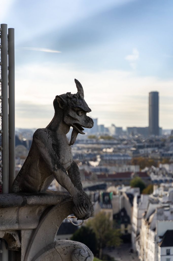 Gargoyles of Notre Dame