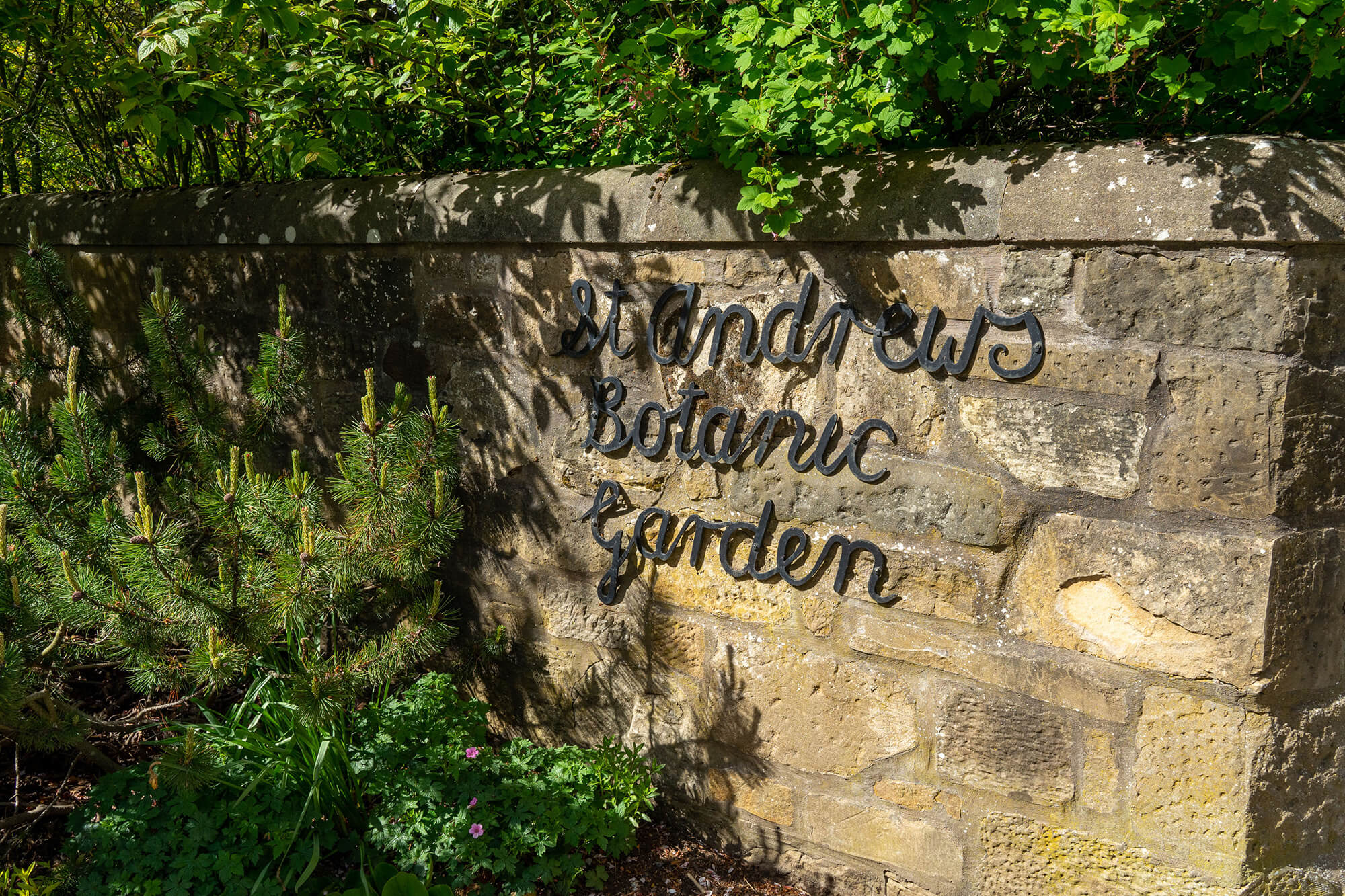 St Andrews Botanic Gardens