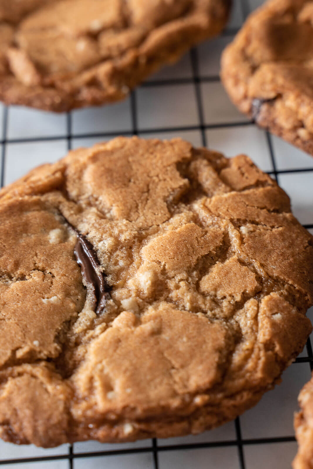 Gingersnap Cookie Recipe