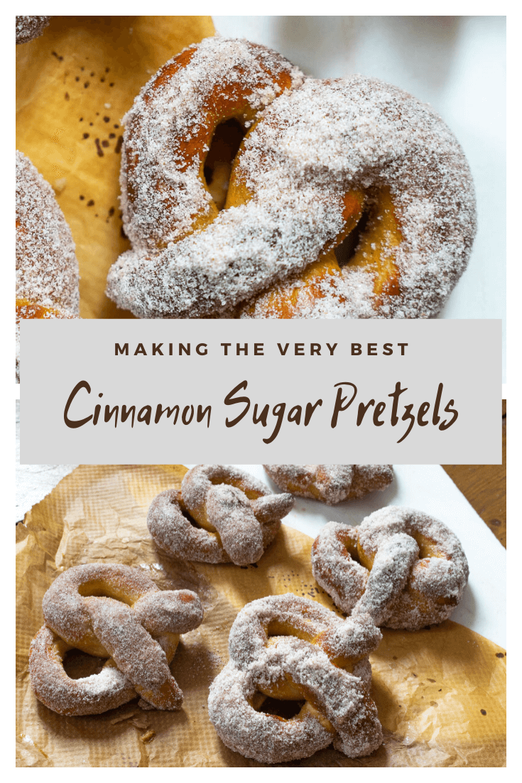 Easy Cinnamon Pretzels