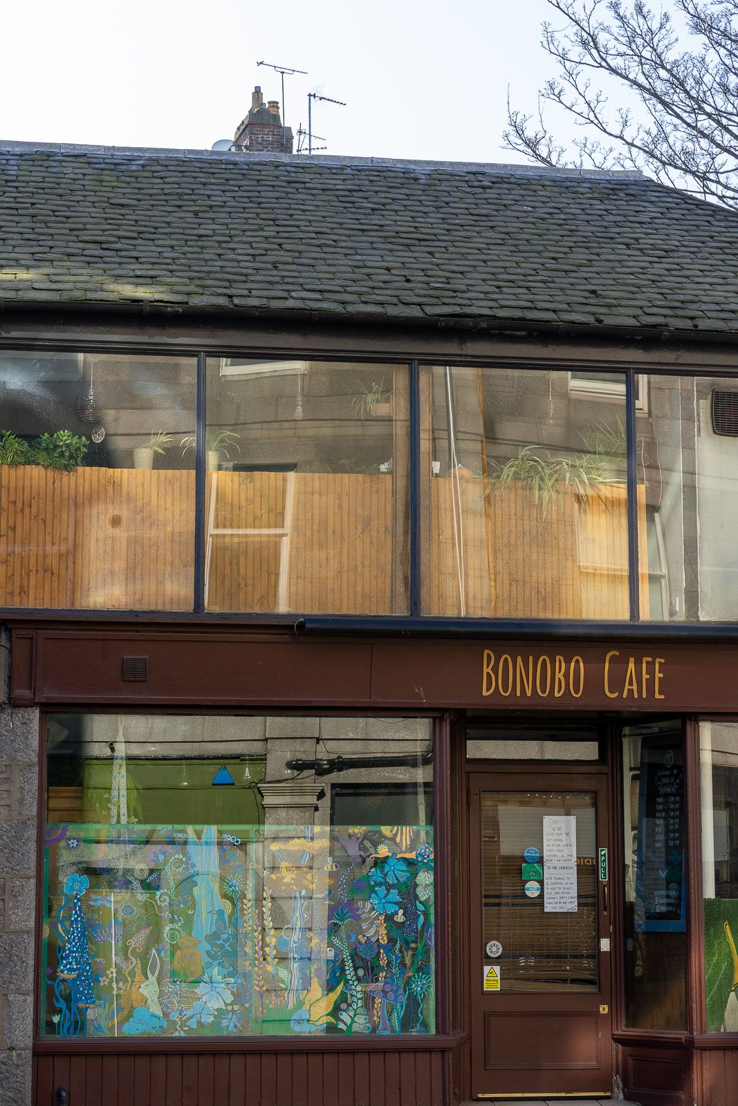 Bonobo Cafe