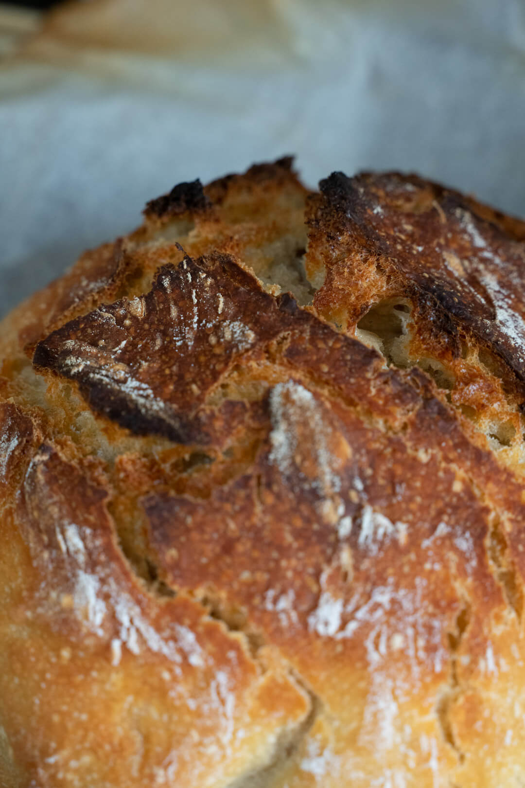 Dutch Oven Bread