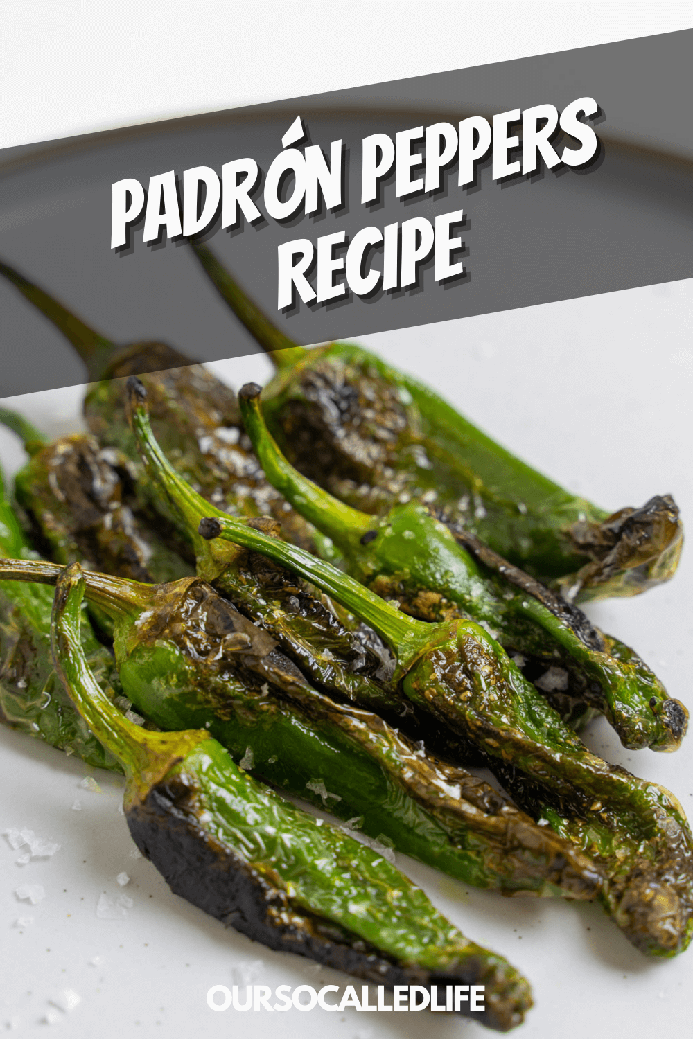 Padron Peppers Recipe