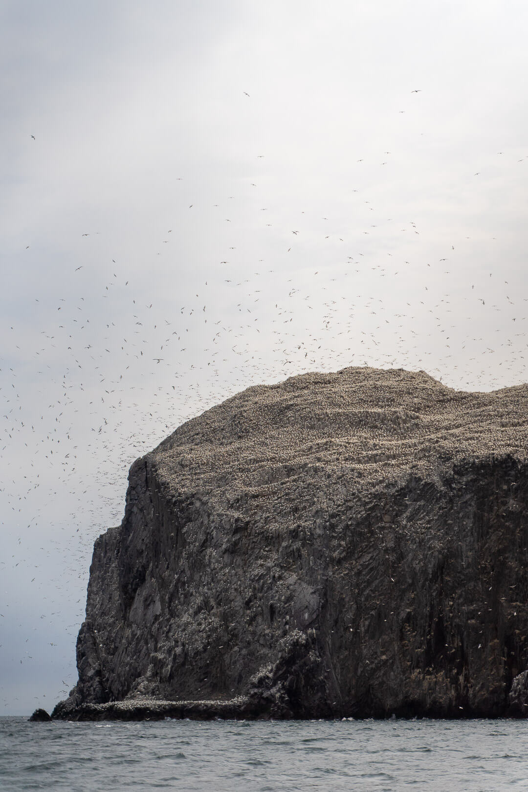 Bass Rock