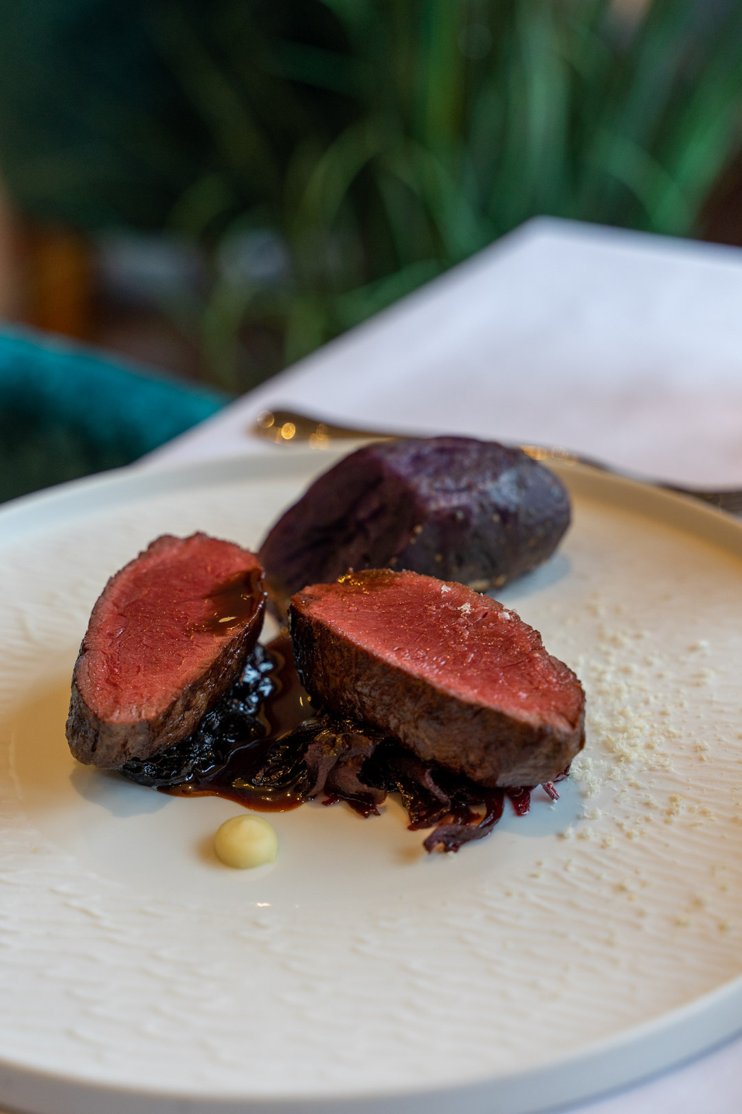 Venison