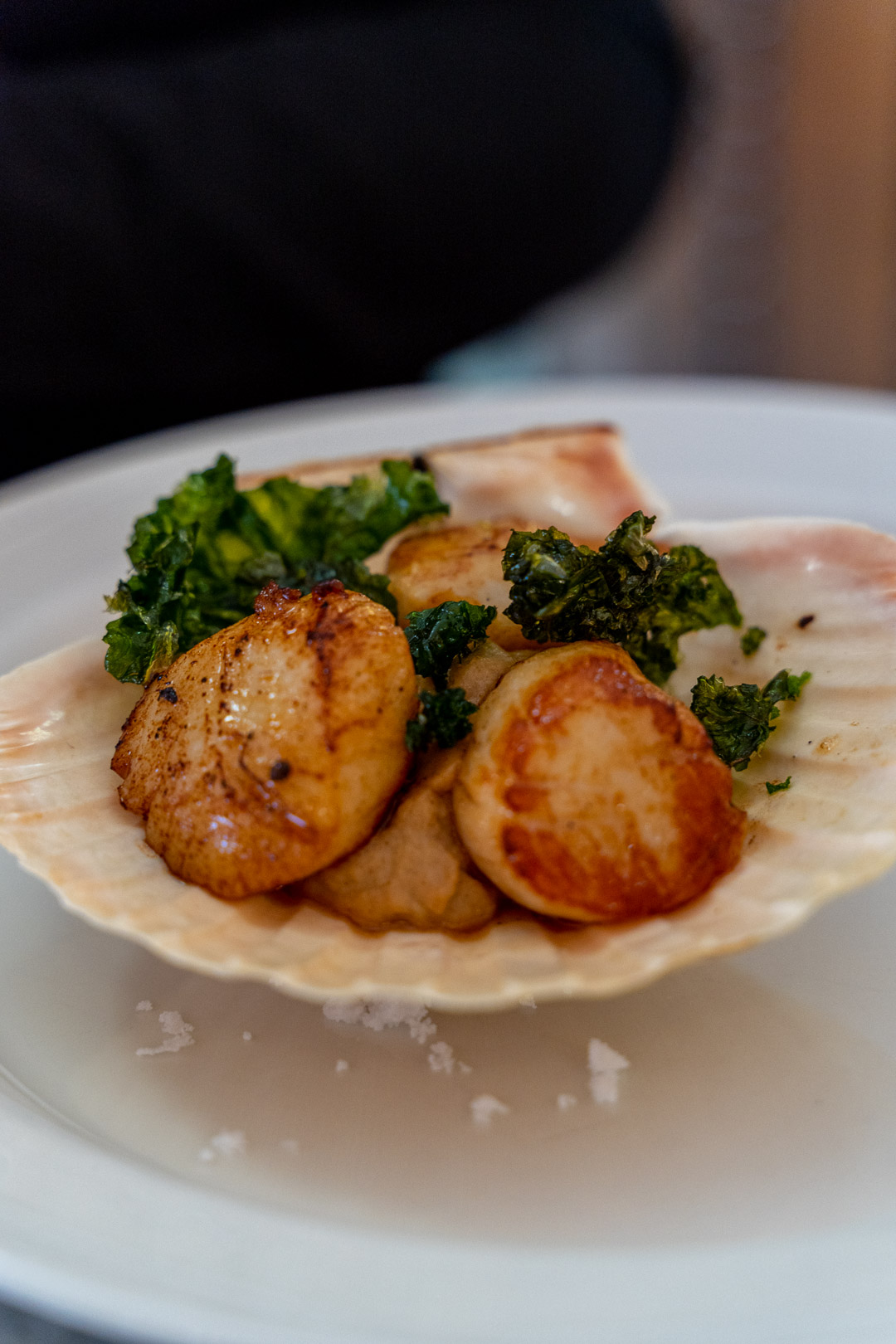 Scallop